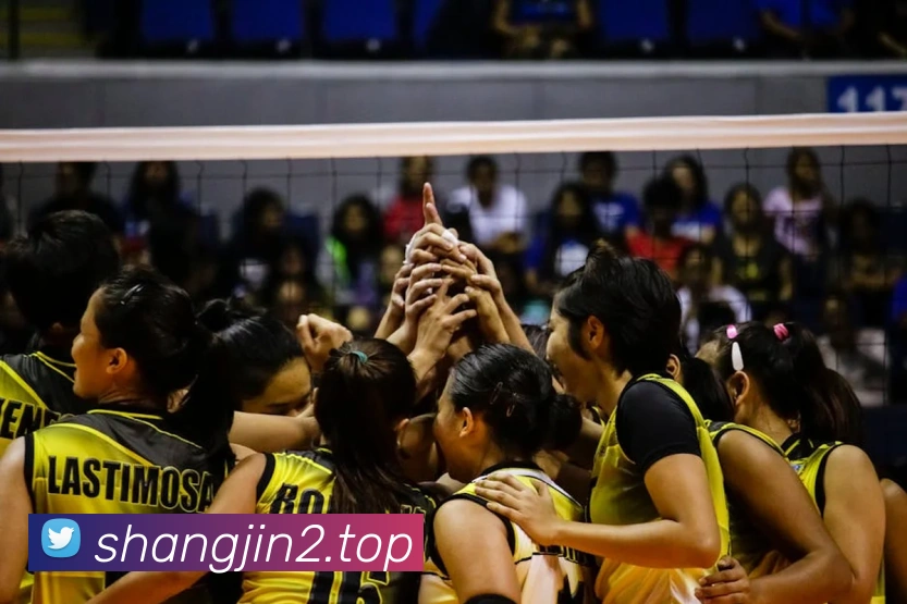 欧帝体育体育官网登录品牌故事