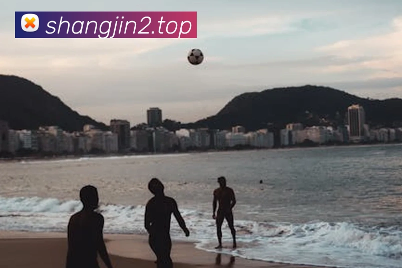 欧帝体育体育官网登录服务体系